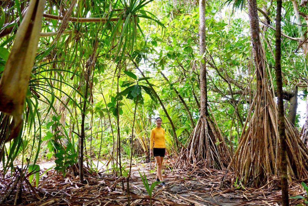 Trip Carver donation recipient for marshall-islands